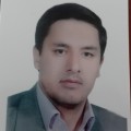 سید امیر ضابطی