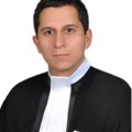 محسن شمس الهی
