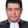 علیرضا مرادلو