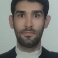 محمدرضا افشار