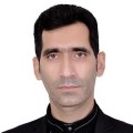 سعید نجفی