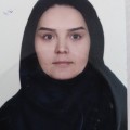 زیور رهبری