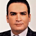 سعید کافی انارکی
