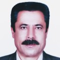 حسین محمدی