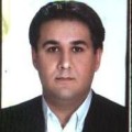 مهدی رئیسی