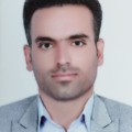محسن خورشیدی علی کردی