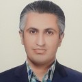 مرتضی کردی