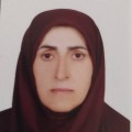 آمنه حسین زاده